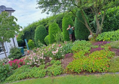 Gartenpflege