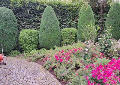 Garten und Landschaftsbau